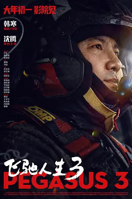 chinese老太